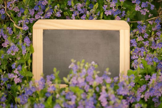 Empty chalkboard is standing in a meadow with flowers, copy space for text, mothers day greeting card, advertising and marketing background, spring and summer season