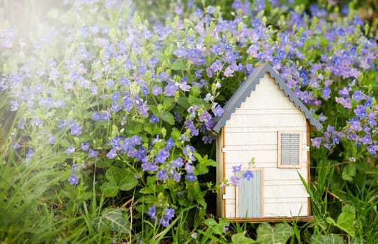 Wooden house in a meadow, buying or renting a house in nature, real estate concept, booking home for vacation, copy space for text