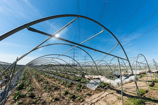 farmland with big greenhouses