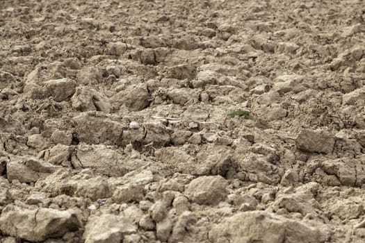 Detail of dry and arid land prepared for growing vegetables