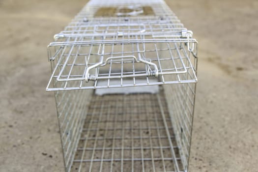 Detail of a cage to hunt wild cats in the city, animal care and protection