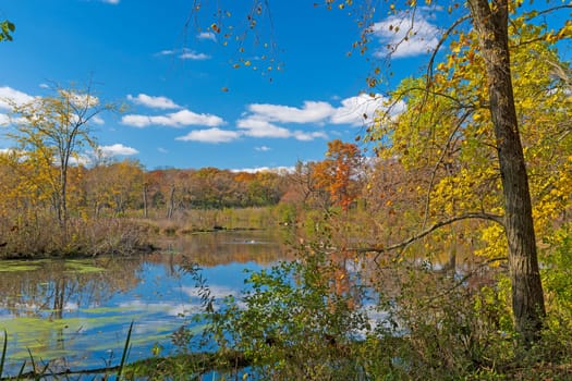 A Calm Pond on a Quiet Fall Morning in the Crabtree Nature Preserve in Illinois