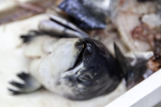Detail of fish remains from a fishmonger, garbage