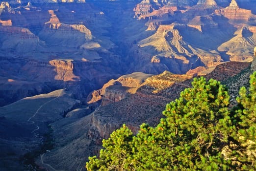 View ofn the Grand Canyon in Arizona