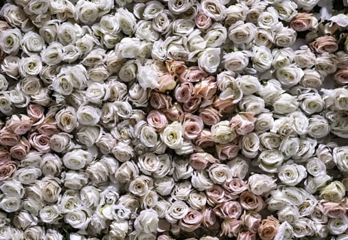 Detail of fresh aromatic flowers, decoration and aroma