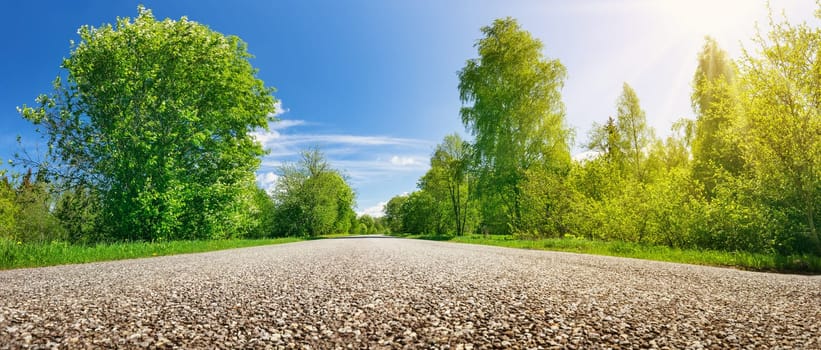 Close-up panoramic view of the asphalt highway in natural park. Dimenition perspective. Concept of the traveling and road trip.