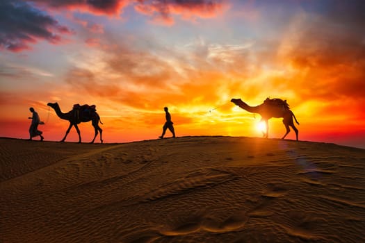Indian cameleers (camel driver) bedouin with camel silhouettes in sand dunes of Thar desert on sunset. Caravan in Rajasthan travel tourism background safari adventure. Jaisalmer, Rajasthan, India
