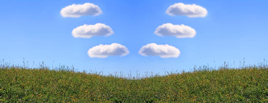Six white clouds as V over flower meadow in blue sky