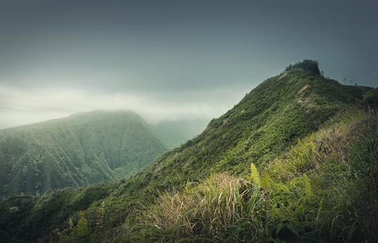 Beautiful view to the green hills in Hawaii, Oahu island. Hiking mountains landscape with vibrant tropical vegetation. Moody weather with foggy clouds over the valley