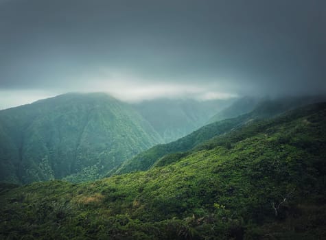 Beautiful view to the green hills in Hawaii, Oahu island. Hiking mountains landscape with vibrant tropical vegetation. Moody weather with foggy clouds over the valley