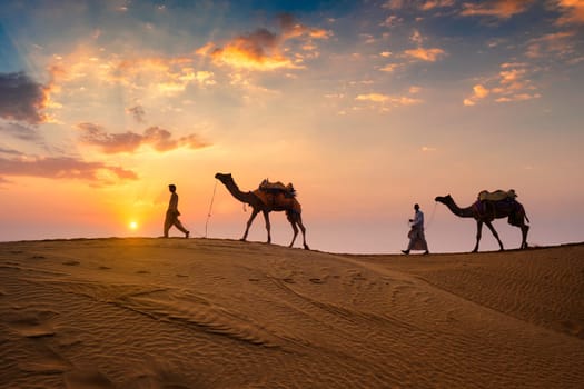 Indian cameleers (camel driver) bedouin with camel silhouettes in sand dunes of Thar desert on sunset. Caravan in Rajasthan travel tourism background safari adventure. Jaisalmer, Rajasthan, India