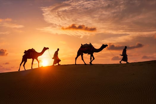 Indian cameleers (camel driver) bedouin with camel silhouettes in sand dunes of Thar desert on sunset. Caravan in Rajasthan travel tourism background safari adventure. Jaisalmer, Rajasthan, India