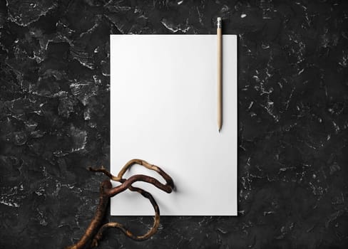 Blank letterhead, pencil and dry branch on black plaster background. Blank branding template. Flat lay.