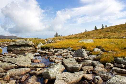 A clear mountain stream on the green meadows in the Austrian Alps, Steiermark, Austria