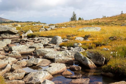 A clear mountain stream on the green meadows in the Austrian Alps, Steiermark, Austria