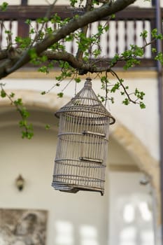 old wooden bird cage as decoration in a tree in the garden