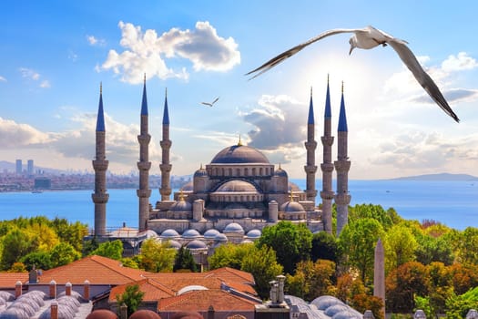 The Blue Mosque in the Golden Horn or Sultan Ahmet Mosque, Istanbul, Turkey.