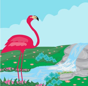 pink flamingo in the water