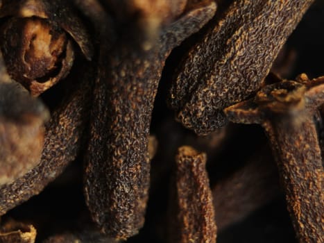 Clove spices aromas flavors natural plant food kitchen