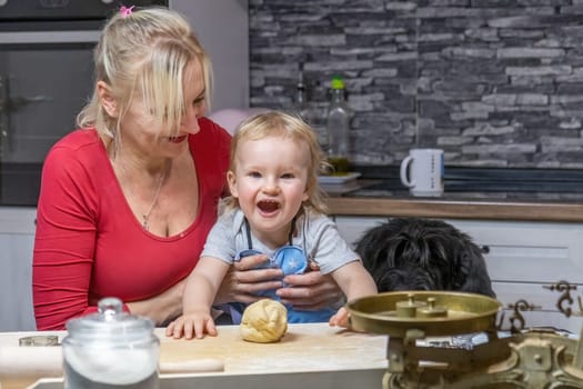 Laughing lttle helper child boy is posing with his grandmother and dog in domestic kitchen