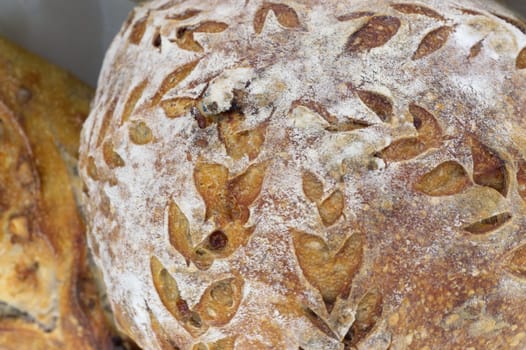 Bread close-up. Freshly baked sourdough bread with a golden crust  . Concept bakery , texture sourdough bread