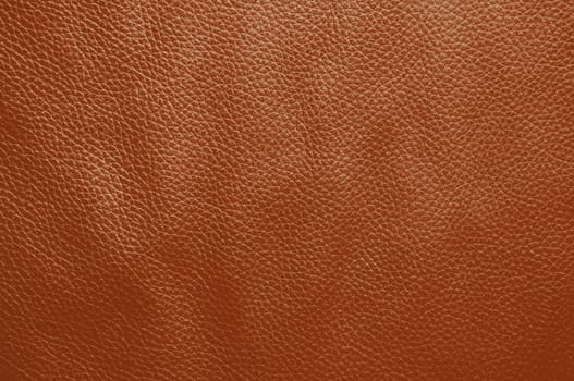 Empty natural brown red leather texture