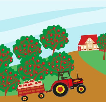 landscape with apple trees and man driving a tractor with a trailer