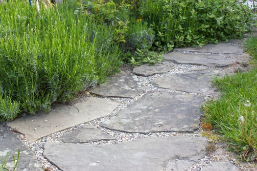 flowerbed in the garden - roses, lavender flowers and stone road