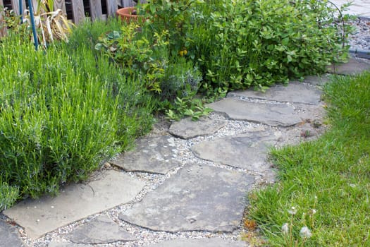 flowerbed in the garden - roses, lavender flowers and stone road