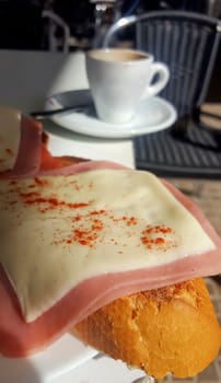 Ham toast with sliced cheese sprinkled with Pimenton de la Vera. Closeup