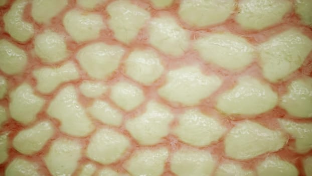 Fat tissue close up -- 3D Rendering