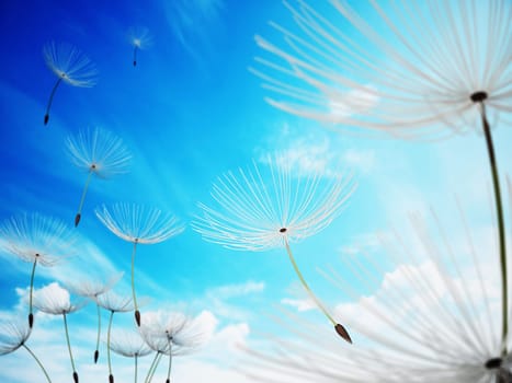 Dandelion leaves flying with the wind. 3D illustration.