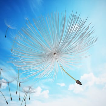 Dandelion leaves flying with the wind. 3D illustration.