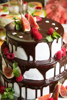 Chocolate cake with figs and raspberries close-up
