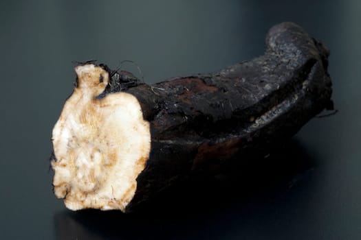 Beinwellwurzel, Symphytum  officinale