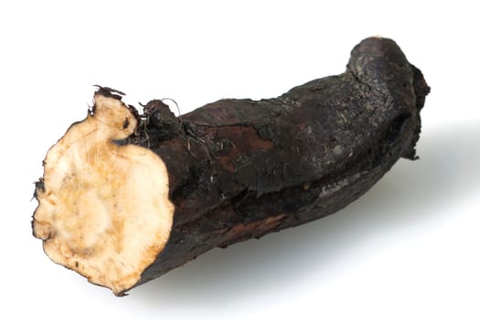 Beinwellwurzel, Symphytum  officinale
