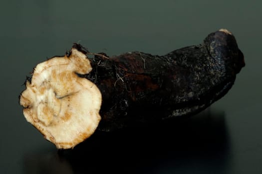 Beinwellwurzel, Symphytum  officinale