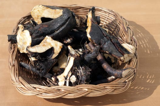 Beinwellwurzel, Symphytum  officinale