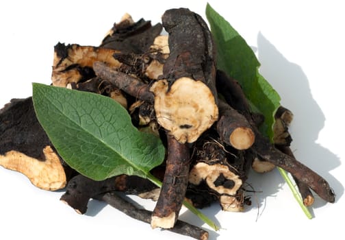 Beinwellwurzel, Symphytum  officinale