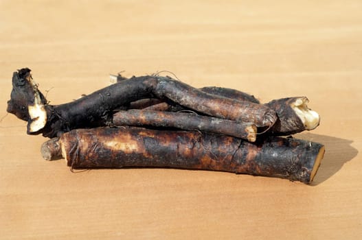 Beinwellwurzel, Symphytum  officinale