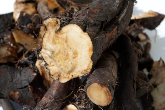 Beinwellwurzel, Symphytum  officinale