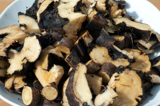 Beinwellwurzel, Symphytum  officinale