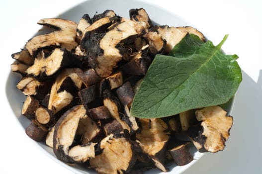 Beinwellwurzel, Symphytum  officinale