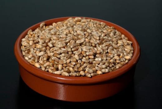 Triticale, Wintertriticale, Triticosecale, rimpauii