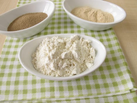 dry yeast,yeast extract and flour