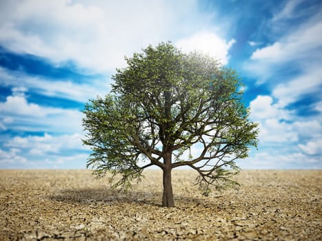 Green oak tree standing in the middle of the desert. Climate change and global warming concept. 3D illustration.