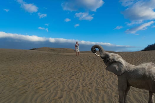 Woman observes African elephant in the desert