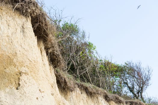 Cliff of ahrenshoop village at baltic sea peninsula darss. (Germany) in autumn time.
