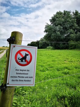 Dogs are not allowed in the paddock