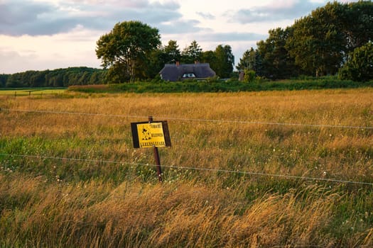 Bull pasture in Wieck, Fischland-Darss peninsula, Mecklenburg-West Pomerania, Germany